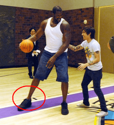 以一个典型 以一个典型